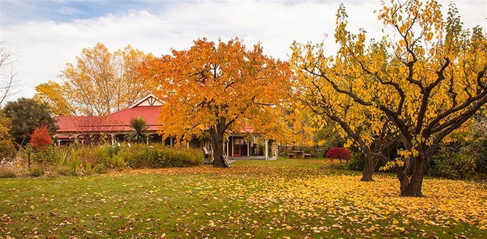 Hartley Homestead Boutique Bed & Breakfast Clyde Luaran gambar
