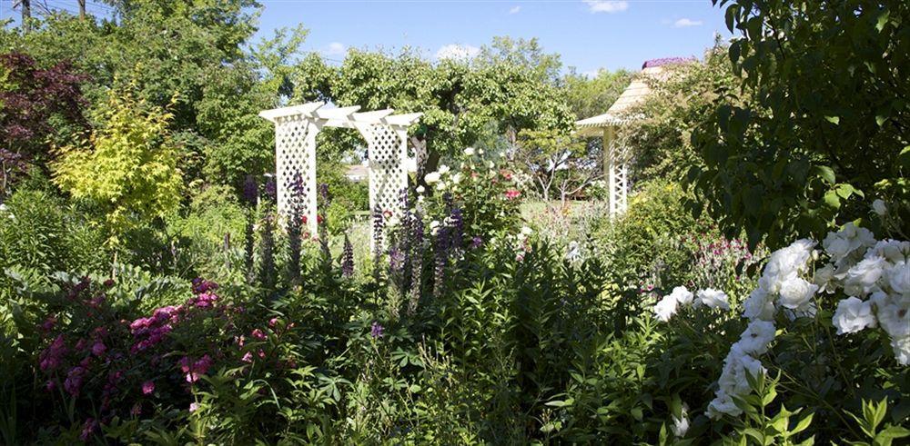 Hartley Homestead Boutique Bed & Breakfast Clyde Luaran gambar