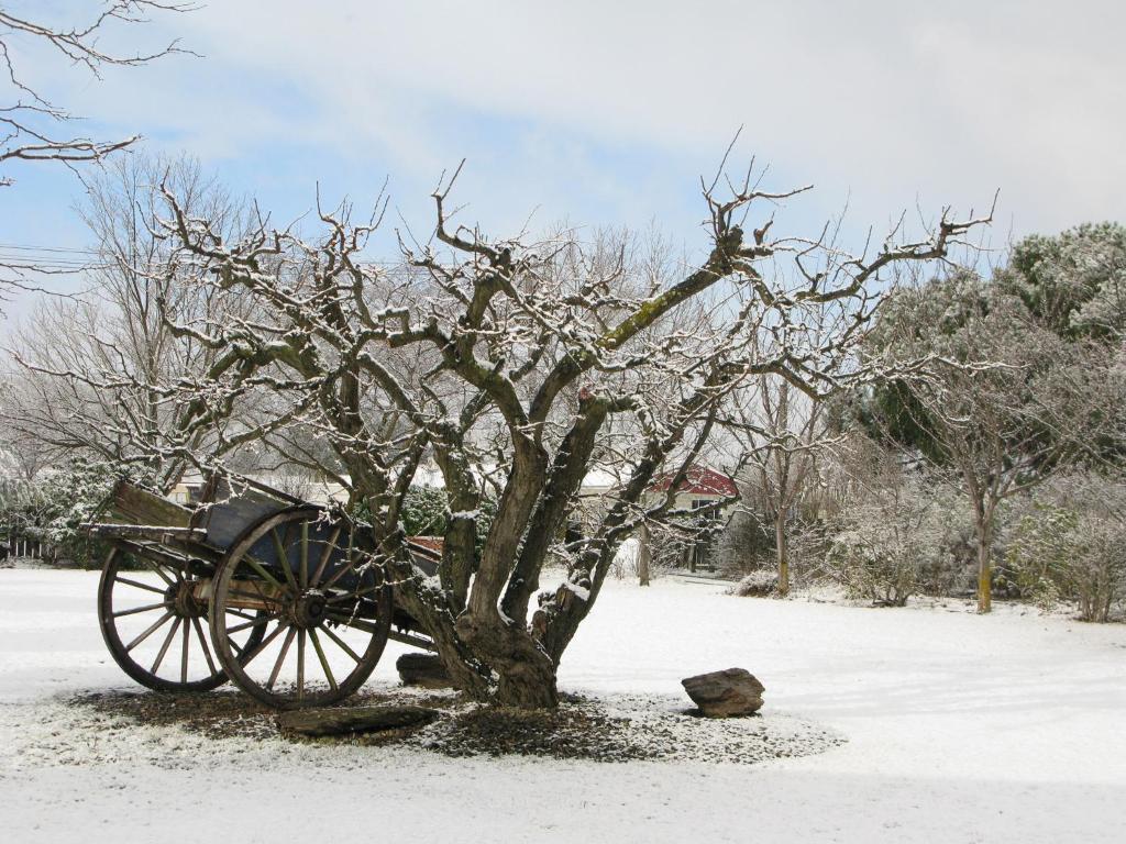 Hartley Homestead Boutique Bed & Breakfast Clyde Luaran gambar